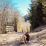 Apart Gabriele Pure Alpin Style St Anton - Mountain Hideaway With Sommercard Premium & Dogs Welcome Apartamento
