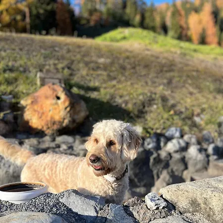 Gabriele - Pure Alpin Style * サンクト・アントン・アム・アールベルク