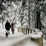아파트 Apart Gabriele Pure Alpin Style St Anton - Mountain Hideaway With Sommercard Premium & Dogs Welcome 장크트안톤암아를베르크
