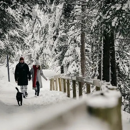 아파트 Gabriele Pure Alpin Style St Anton - Mountain Hideaway With Sommercard Premium & Dogs Welcome 장크트안톤암아를베르크