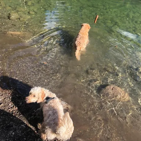 شقة Gabriele - Pure Alpin Style سانكت أنتون ام ارلبرغ